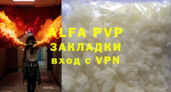 индика Бронницы