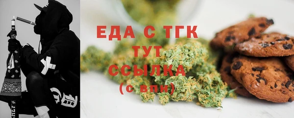индика Бронницы