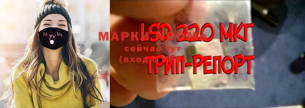индика Бронницы