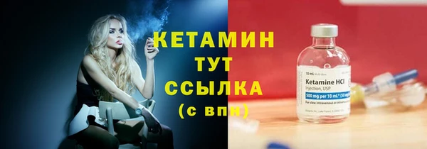 индика Бронницы