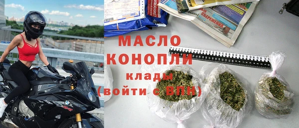 индика Бронницы