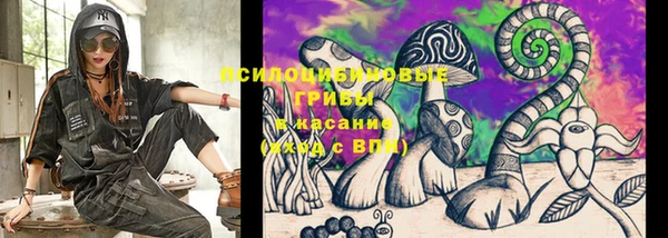 винт Бугульма