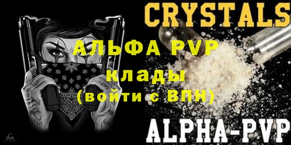 индика Бронницы