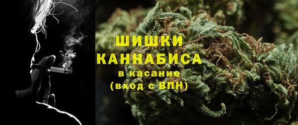 индика Бронницы