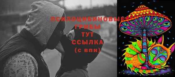 индика Бронницы